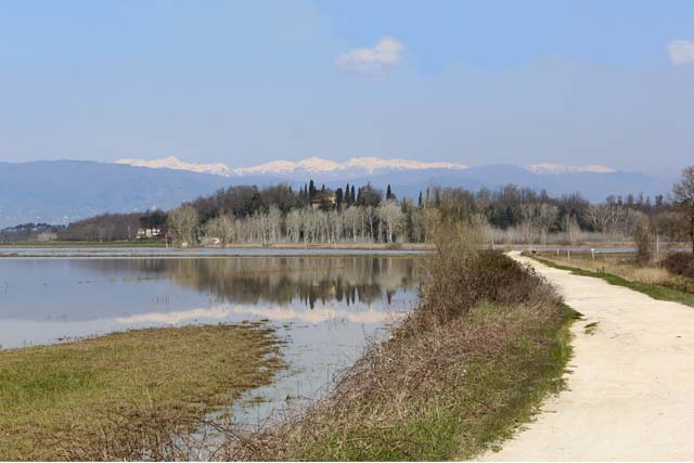 Pisa e dintorni